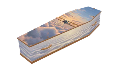 Avion au lever du jour
